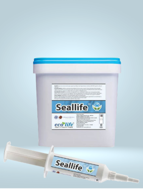SEALLİFE